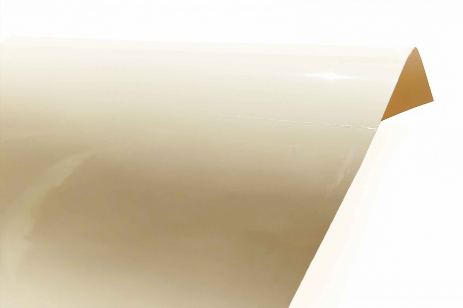 Gloss-Premium-307