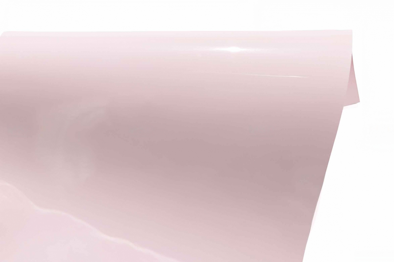 Gloss-Premium-404