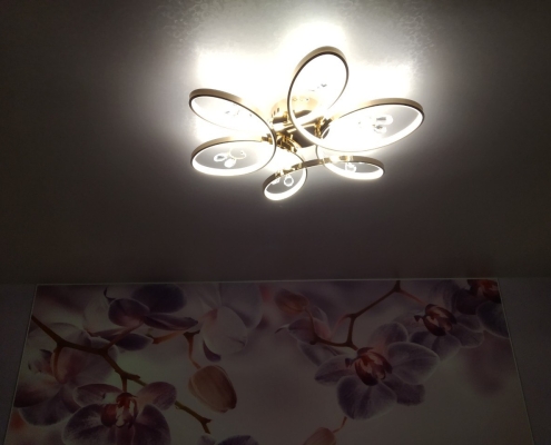 įtempiamos lubos su karnizu tekstūros ornamento piešiniu1